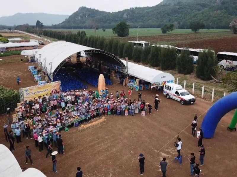 Corn Fair